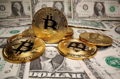 山寨季即将来临 大选后 12 个月仍是加密牛市黄金期